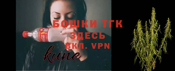 молекула духа Арсеньев